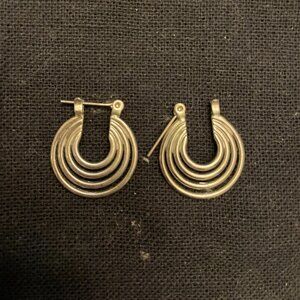 Luv Aj Silver Hoop Earrings